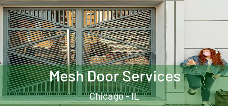 Mesh Door Services Chicago - IL
